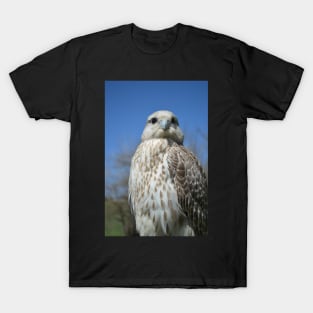 White Falcon T-Shirt